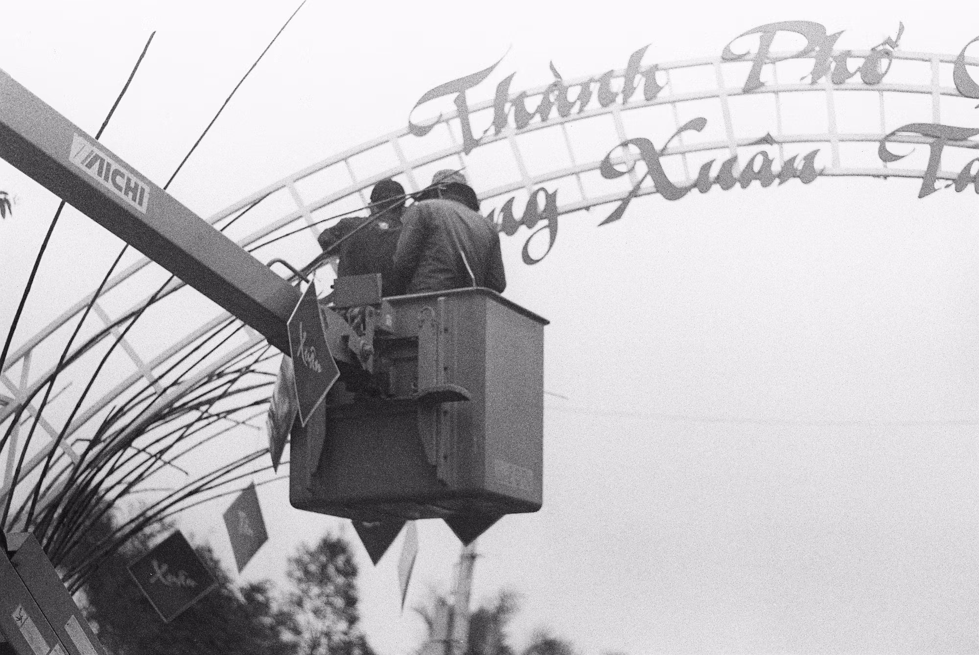 Exploring the Magic of Themed Entertainment Resorts